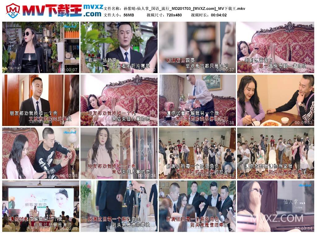 孙紫晴-仙人掌_国语_流行_MD201703